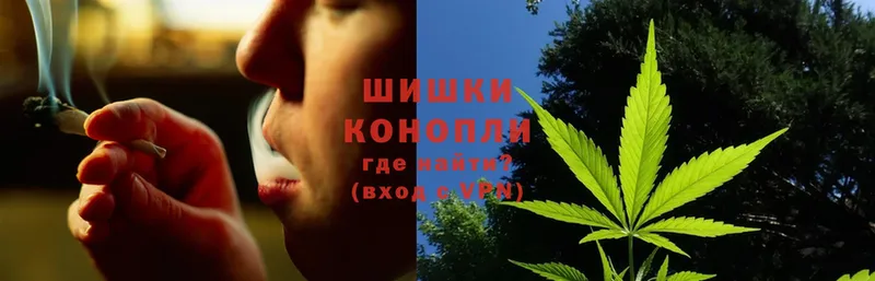 Бошки марихуана SATIVA & INDICA  hydra ССЫЛКА  Новоульяновск  закладки 